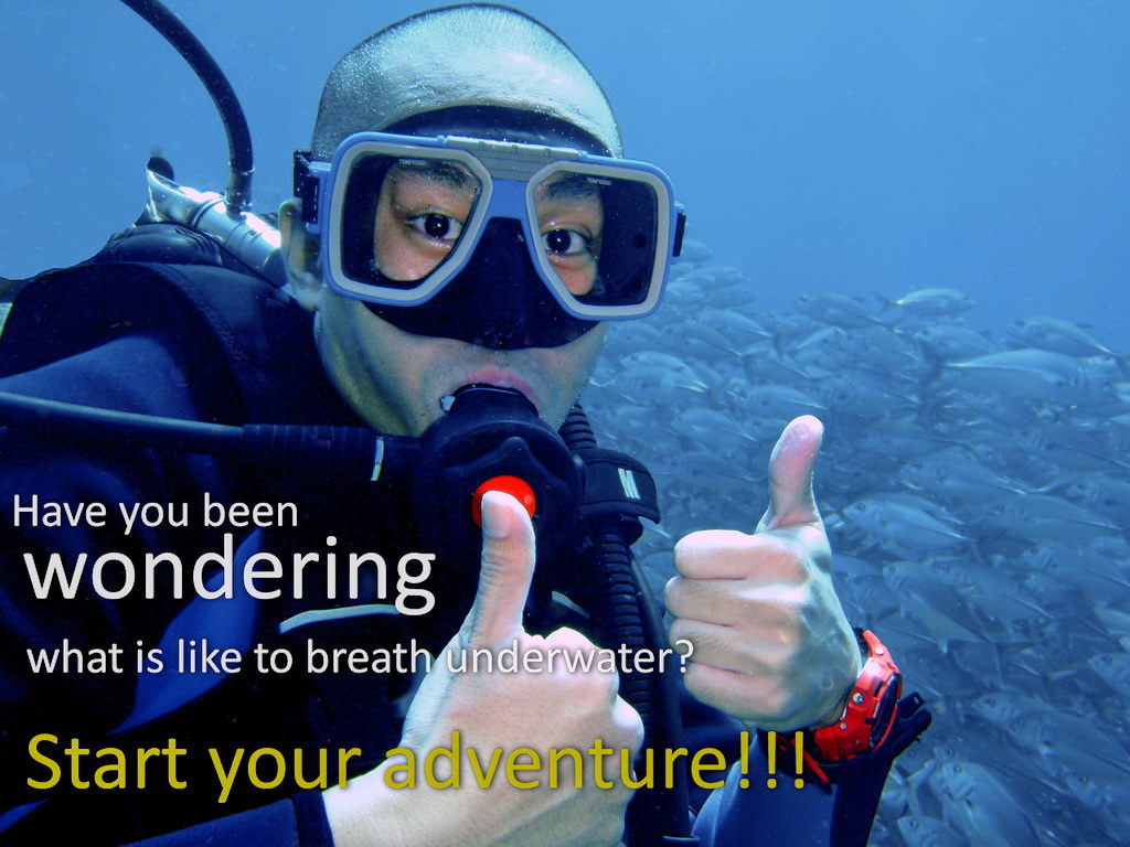 Anilao Discover Scuba Diving