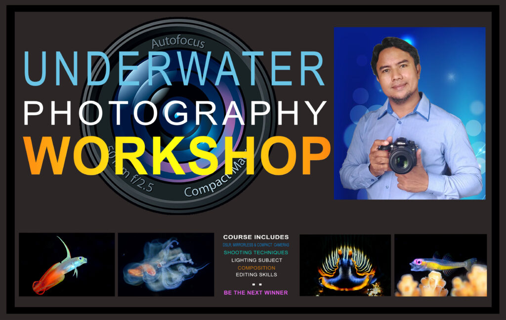 Anilao underwater Photography workshop