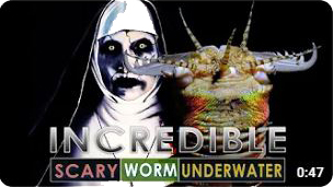 SCARY WORM