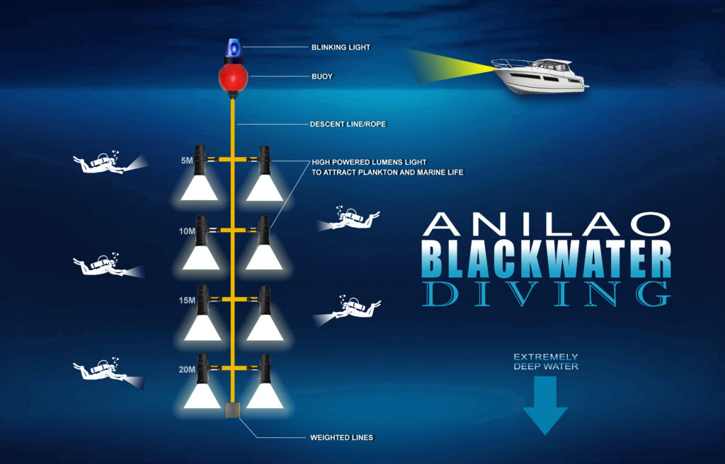 Anilao Blackwater Diving